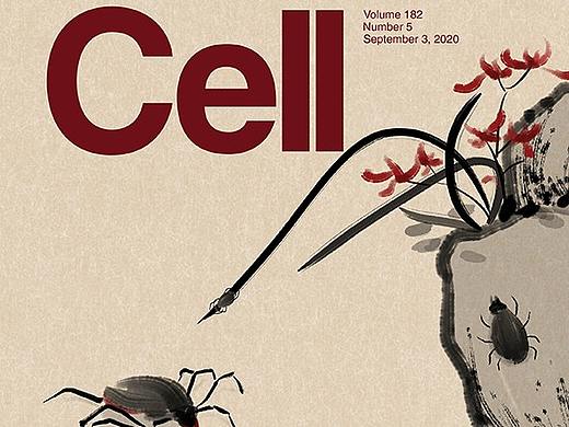 期刊封面设计 上海邦图文化传媒有限公司