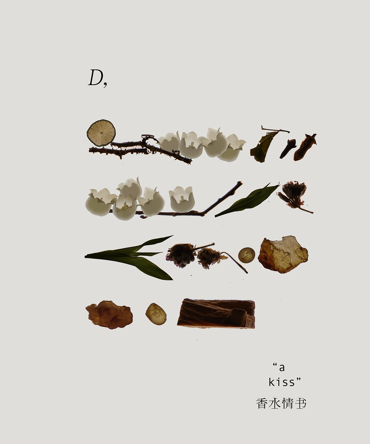 《香水情书》✖️合宜 拍摄案例