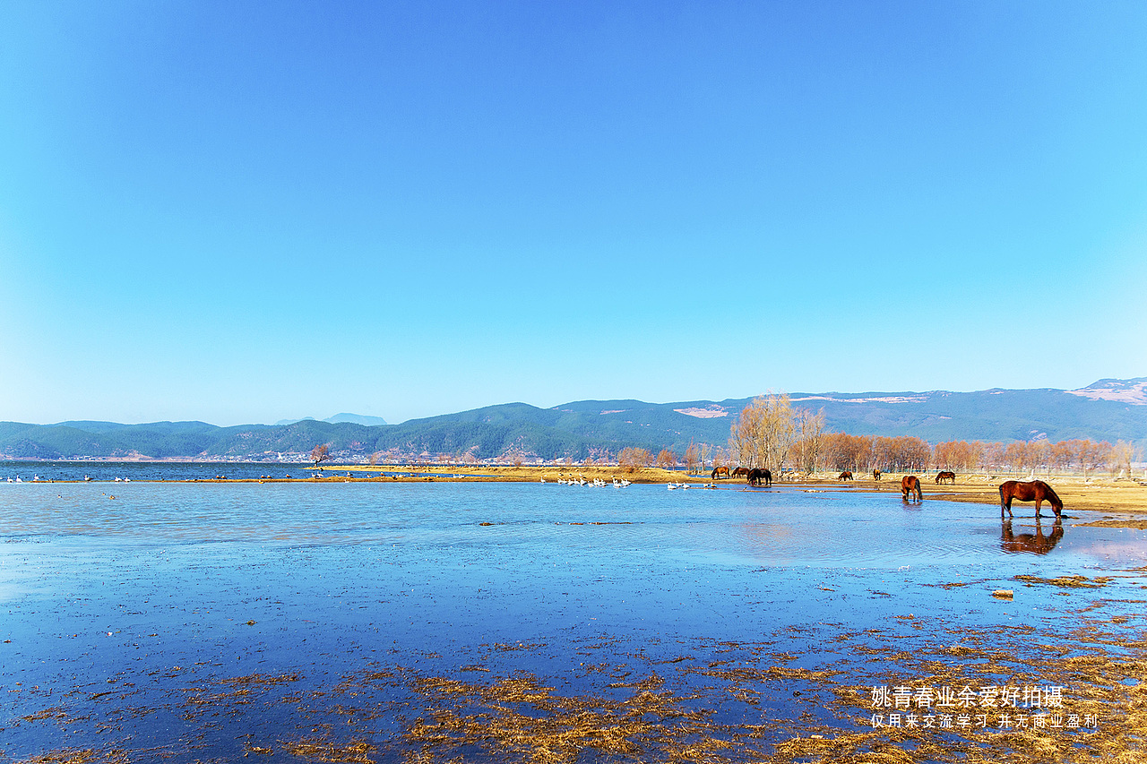 姚青春2021上海回云南路途拍摄自然风光山水风景照片