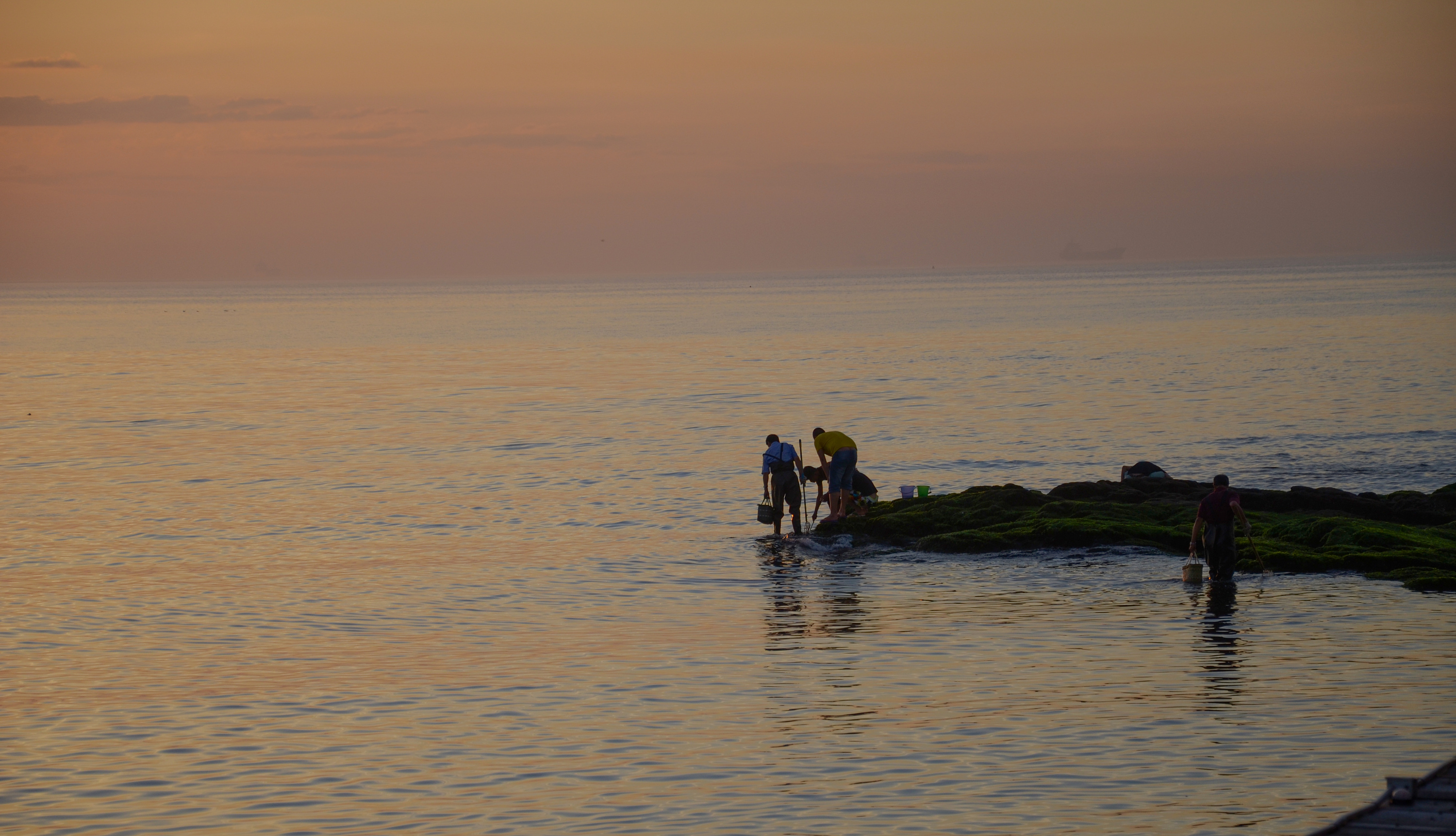 秦皇岛外捉鱼人