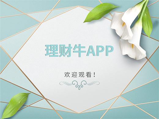 理财牛GUI展示