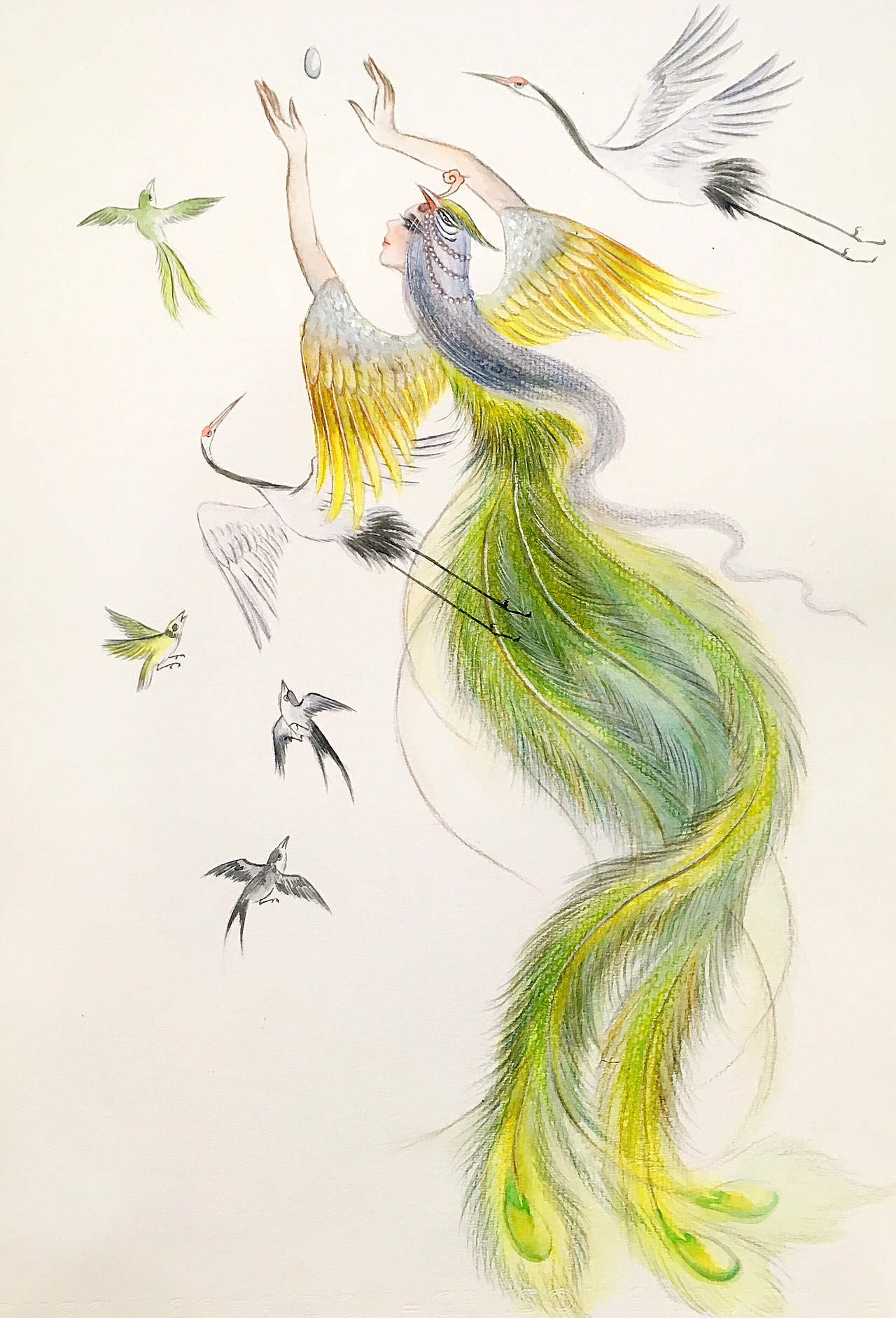 水彩插画(凤仙)（图ZMTE5ODMzNTI4） - 艺术插画 - 站酷设计师画师云木原创素材 - 站酷ZCOOL