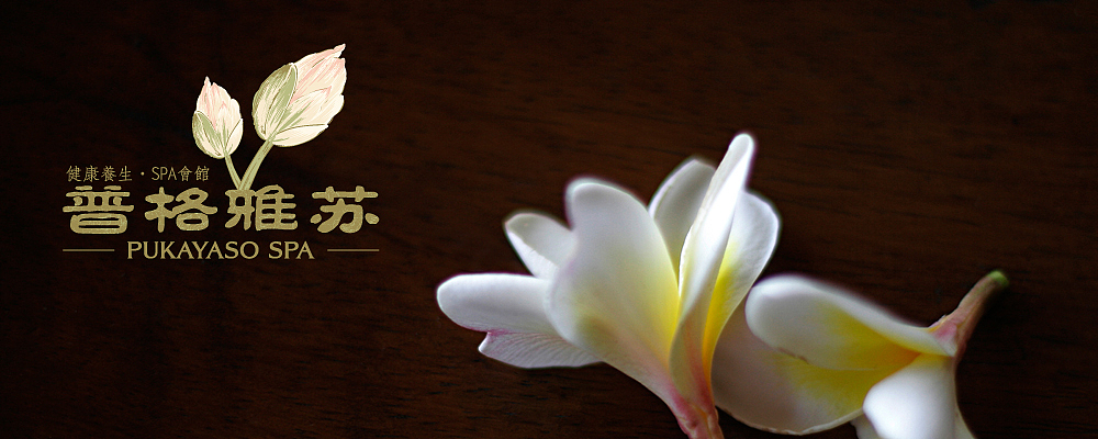 普格雅苏健康养生·SPA会馆品牌VI/LOGO/网站/环境导示设计及品牌形象推广