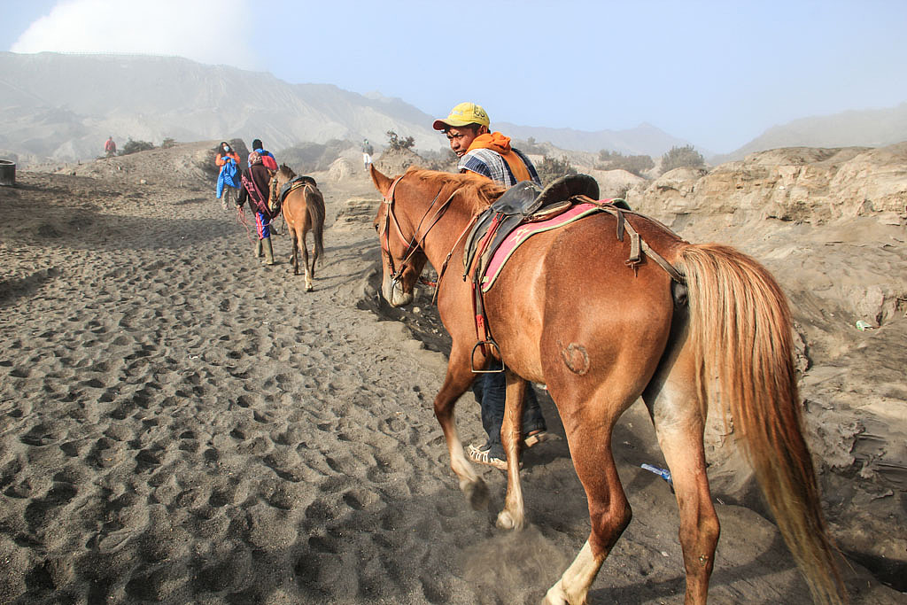 JAVA火山与海水铸造的奇迹之岛2