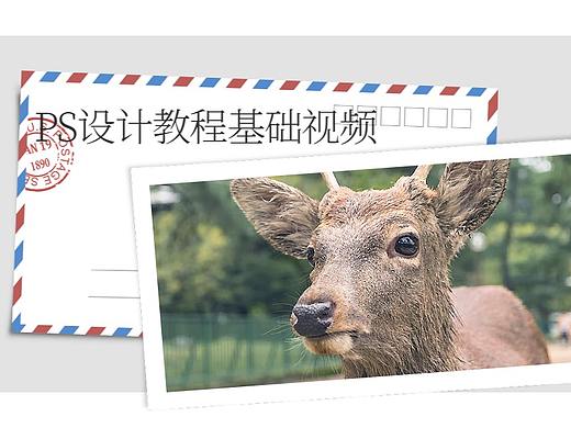 【平面设计专业】专业PS海报设计视频带你进入恐龙战争