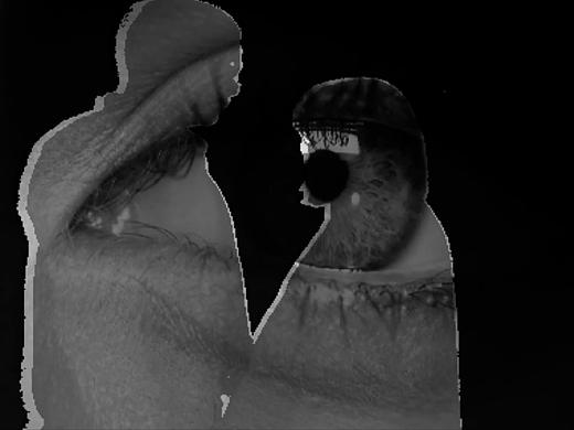 Symbol, Sign and Flow