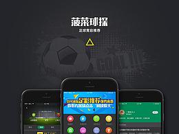 球探app