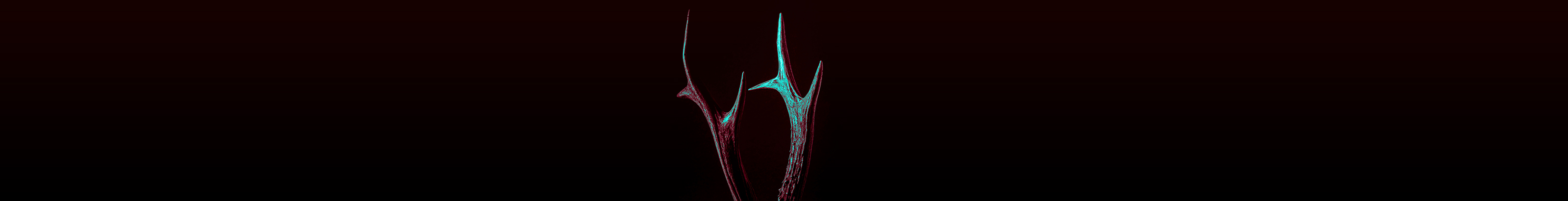 一枚觉醒的五花肉的个人主页（封面预览） - 主页封面设置 - 站酷设计师一枚觉醒的五花肉原创素材 - 站酷ZCOOL