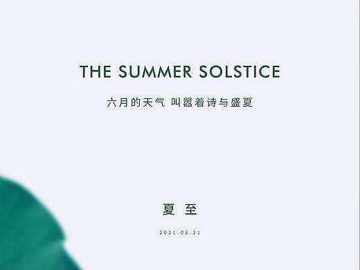 夏至节气海报合集