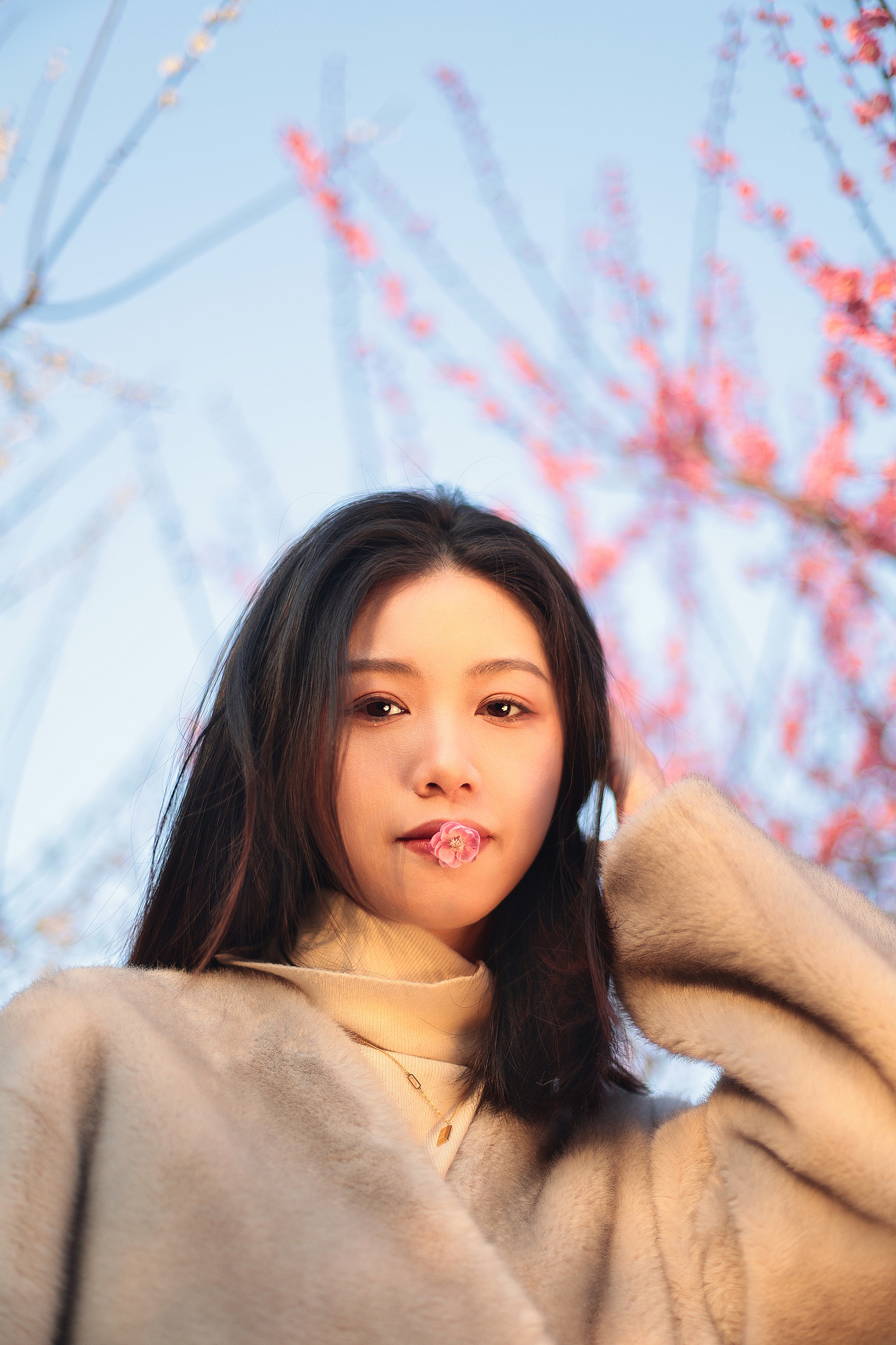 春落梅枝头（图ZMzQxMDQ1MTEy） - 人像摄影 - 站酷设计师今寻本寻Kairos原创素材 - 站酷ZCOOL