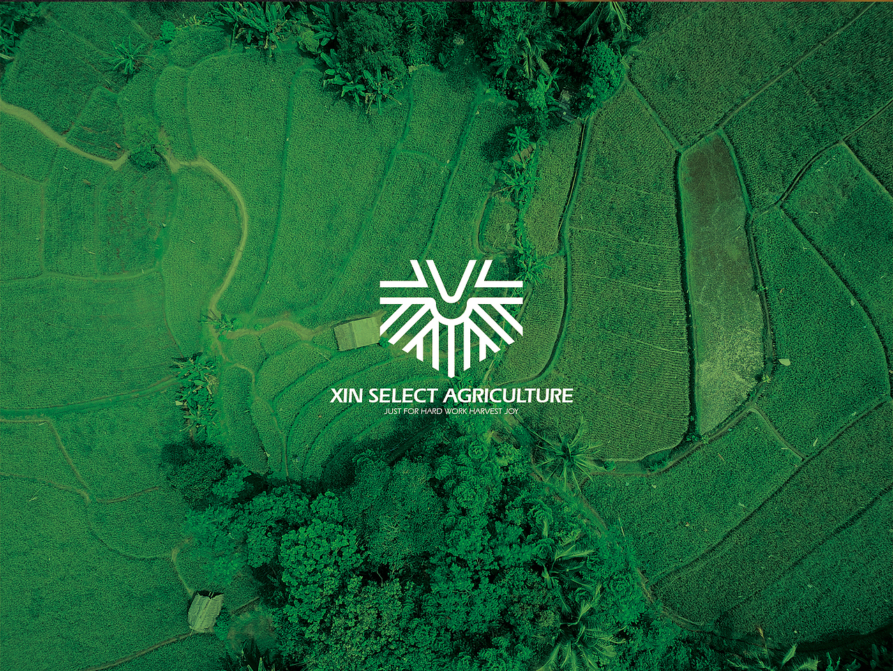 鑫选SELECT | 只为丰收喜悦