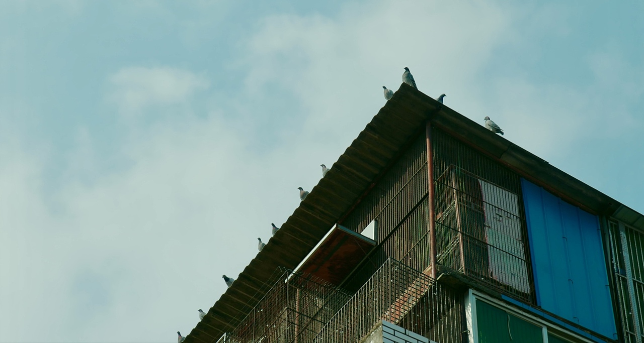 城市人文系列之「遇见三峡」（图ZMzYxNTEzOTM2） - 人文/纪实摄影 - 站酷设计师拾光朝圣者原创素材 - 站酷ZCOOL