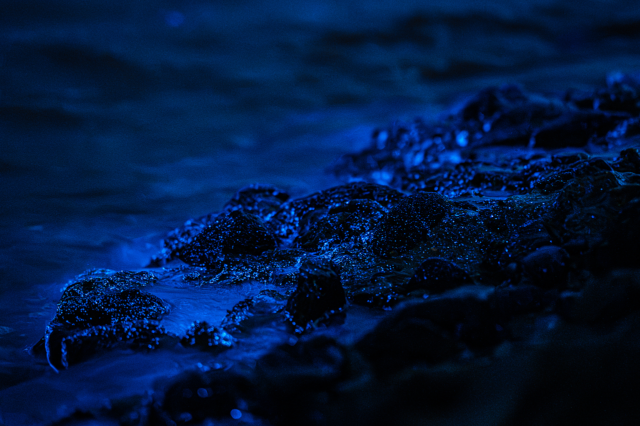 使用 SONY A7M4 搭配 SONY Sonnar T* FE 55mm F1.8 ZA 拍摄