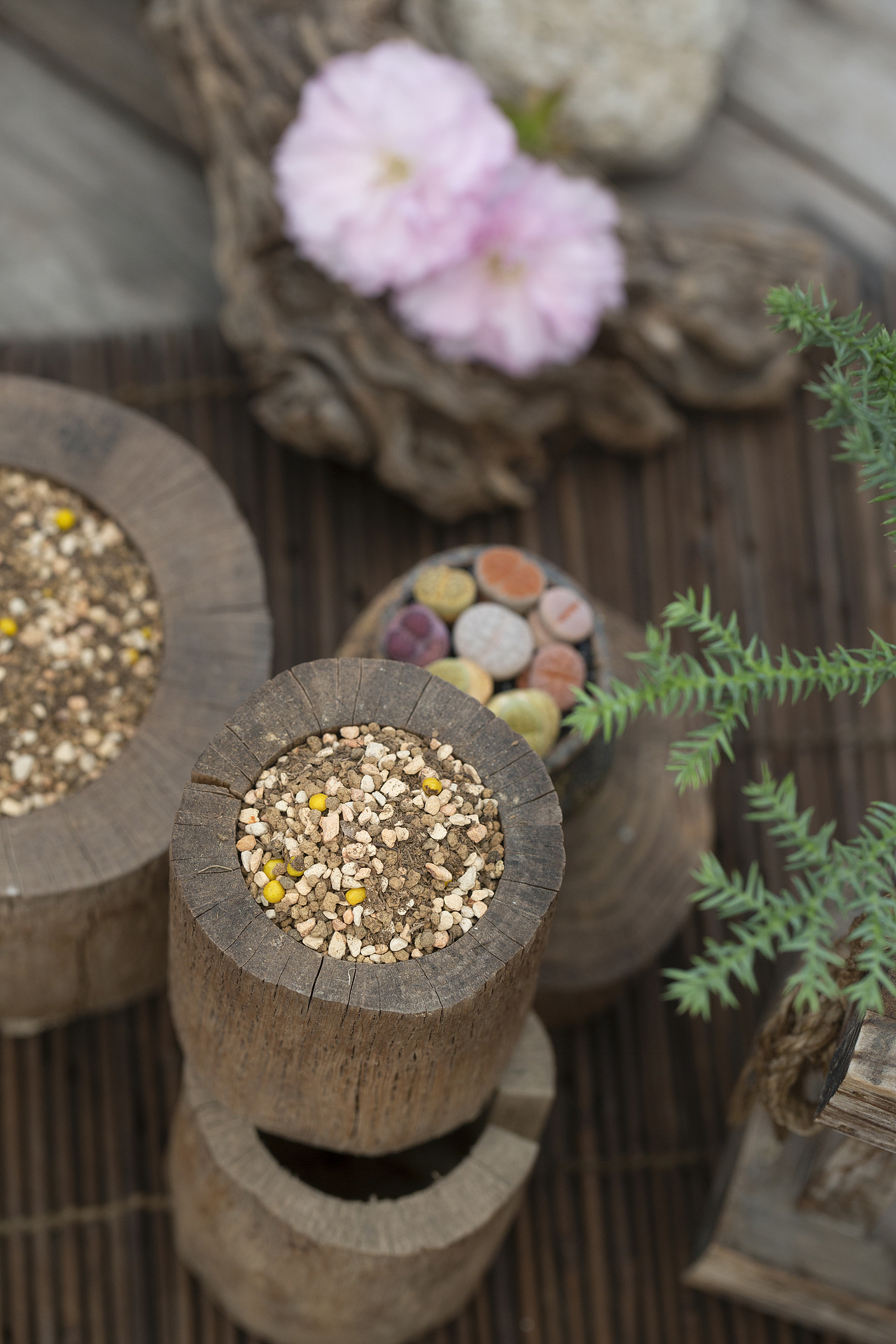 土壤植料-产品摄影（图ZMzU5OTU5OTgw） - 产品摄影 - 站酷设计师Pazza大安原创素材 - 站酷ZCOOL