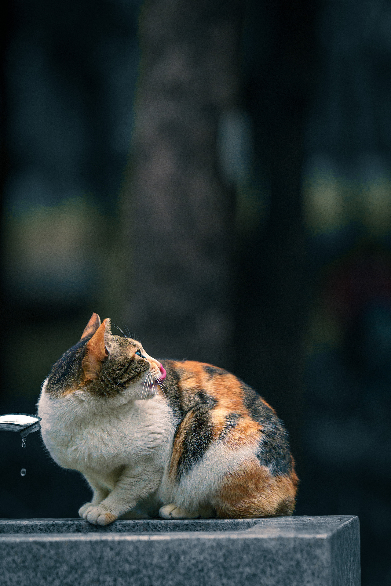 炎炎夏日,总有好心人给“我”开的水龙头