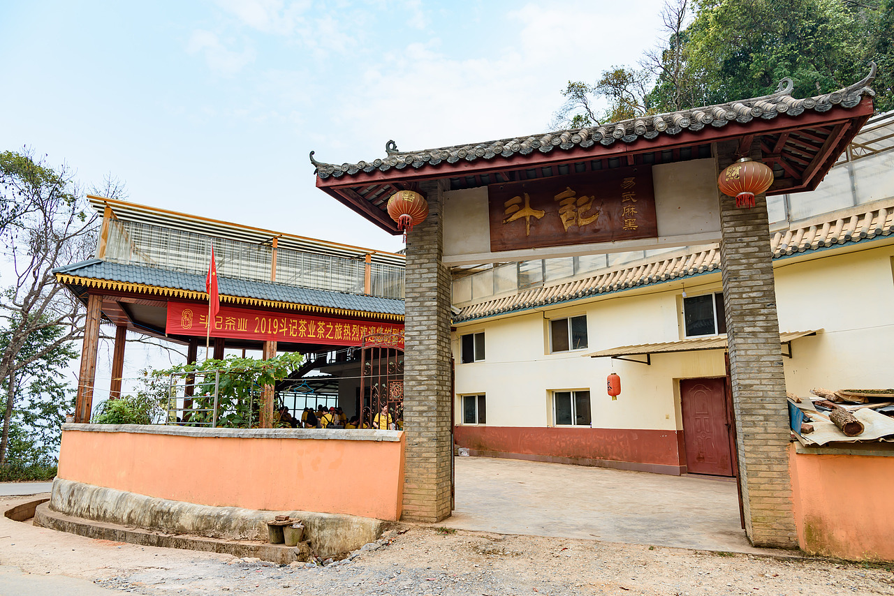 2019云南西双版纳茶之旅