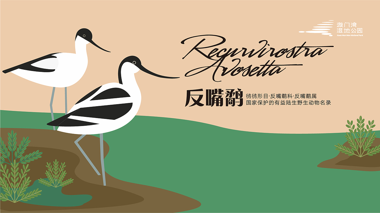 浙江玉环漩门湾湿地公园