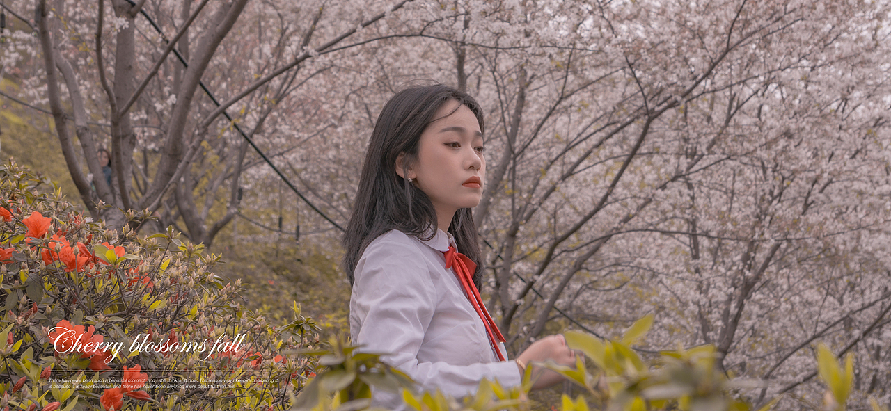 Passage 15.白樱