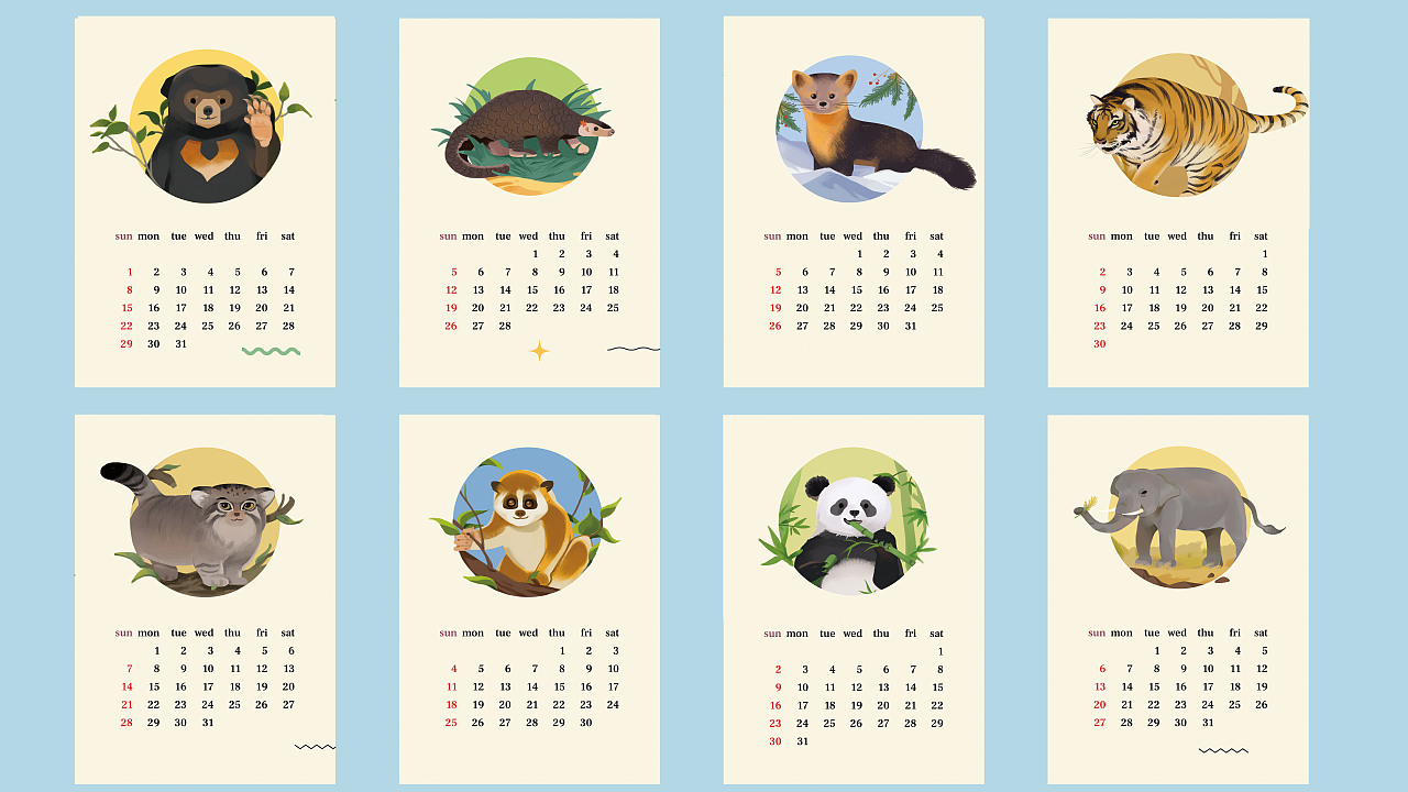 珍稀动物I插画I它们（图ZMzY1MjUyMjIw） - 艺术插画 - 站酷设计师小呱小呱原创素材 - 站酷ZCOOL