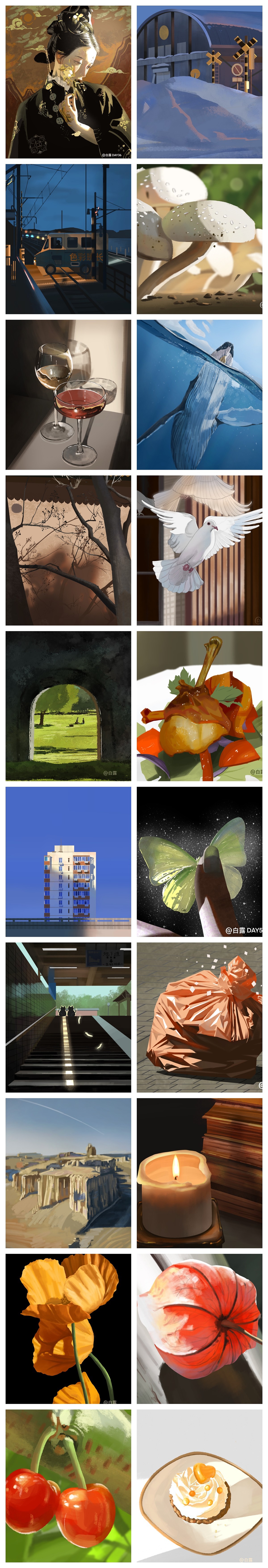 白露2022年插画合集