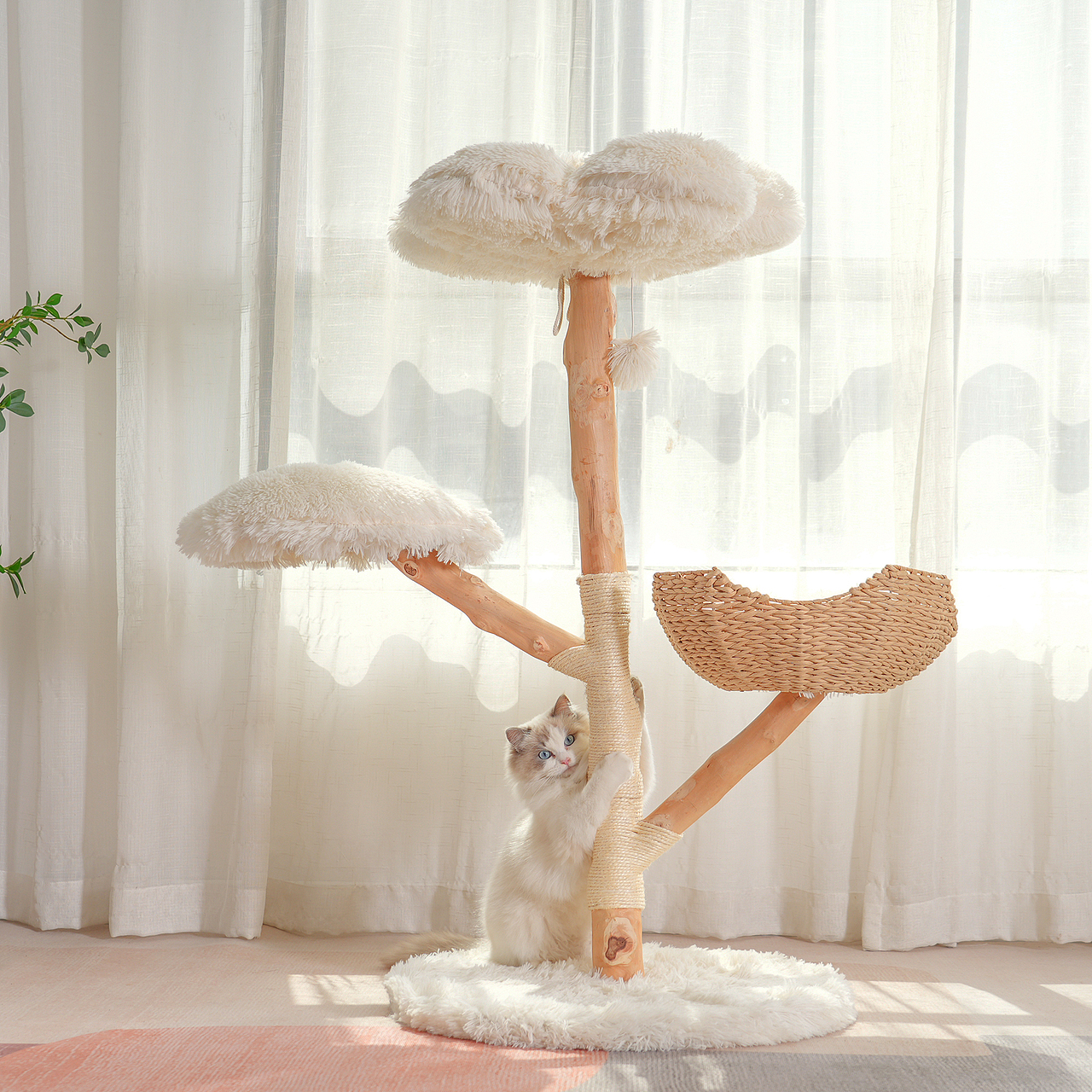 猫爬架拍摄宠物广告拍摄摄影静物广告亚马逊主图设计视