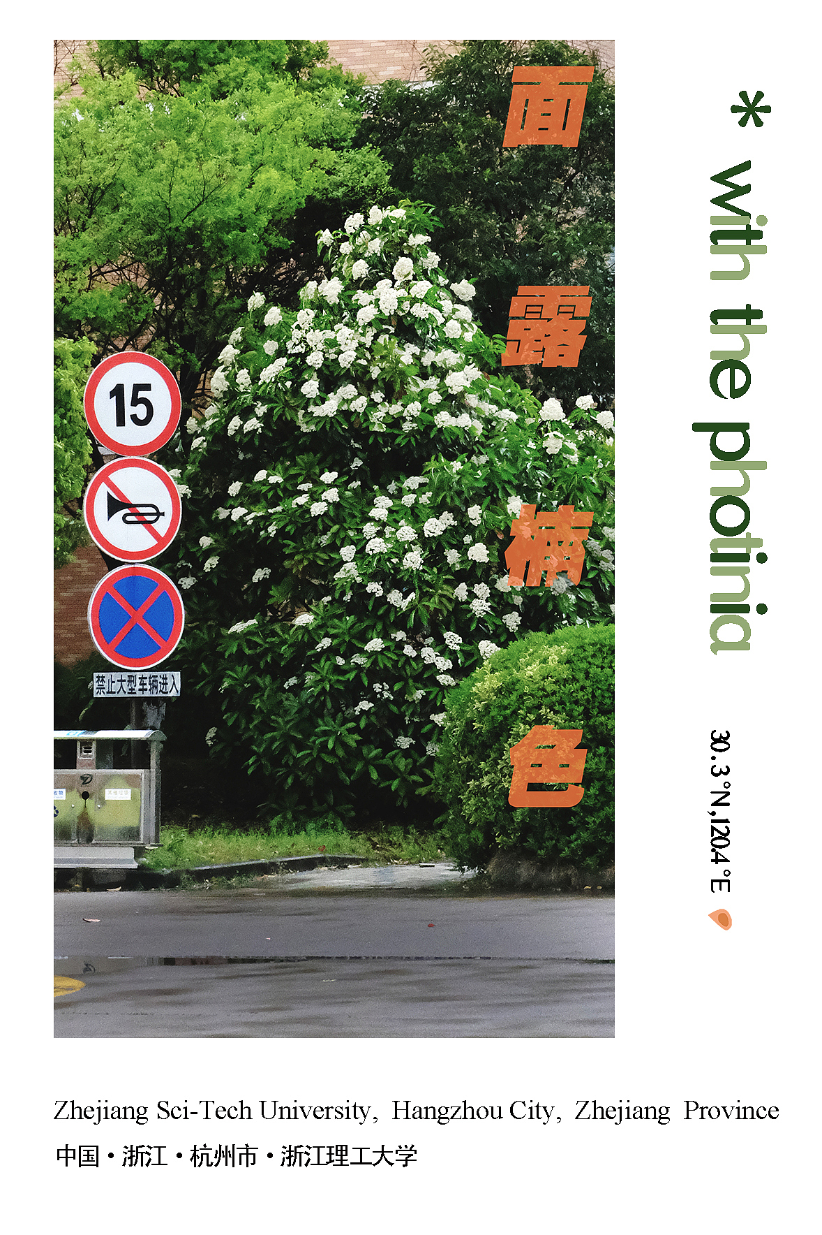 《随机游走2023》明信片