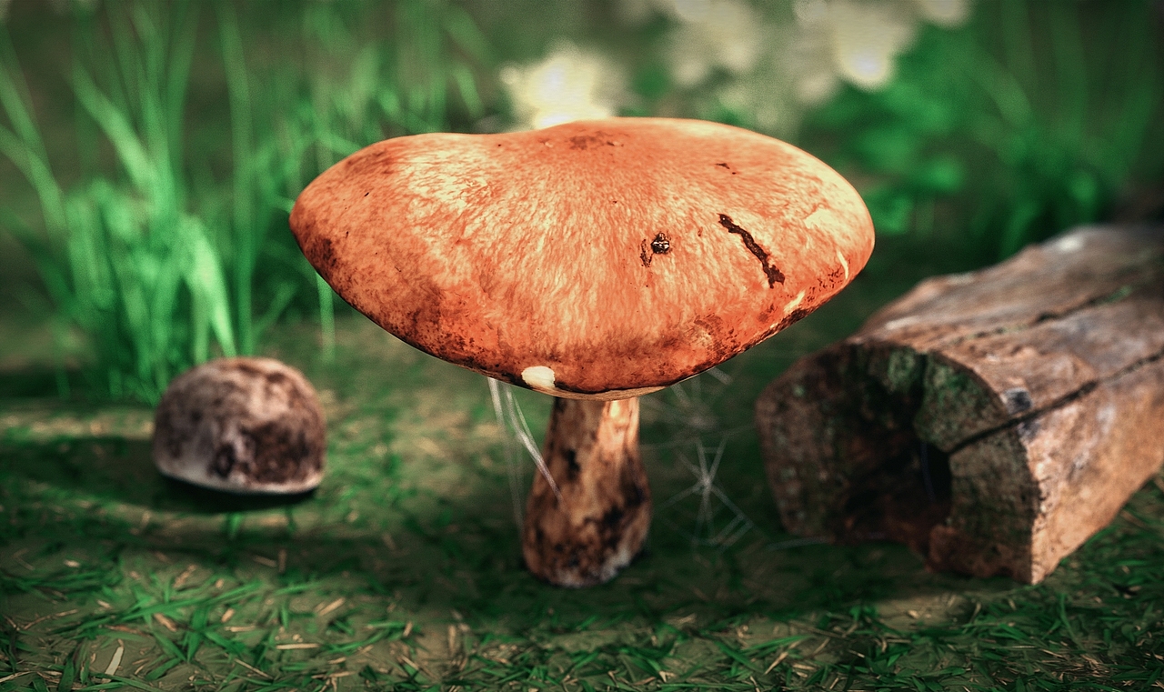 PERSONAL EXERCISES OCTANE RENDER FOR C4D（图ZMzEyODE5ODUy） - 其他三维 - 站酷设计师阿墓原创素材 - 站酷ZCOOL