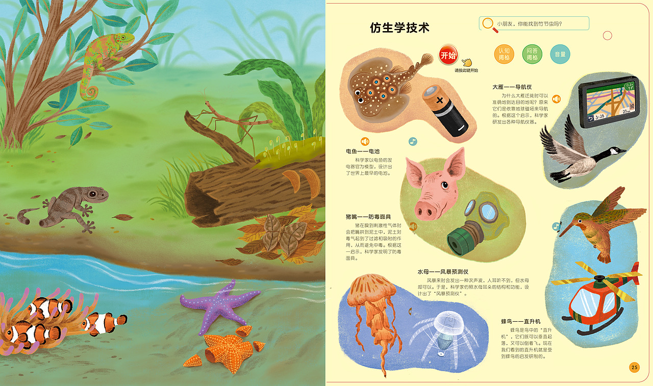 去年初结束的一本科普书《揭秘动物有声书》（图ZMzI3Njc2Nzcy） - 绘本 - 站酷设计师老蟆原创素材 - 站酷ZCOOL