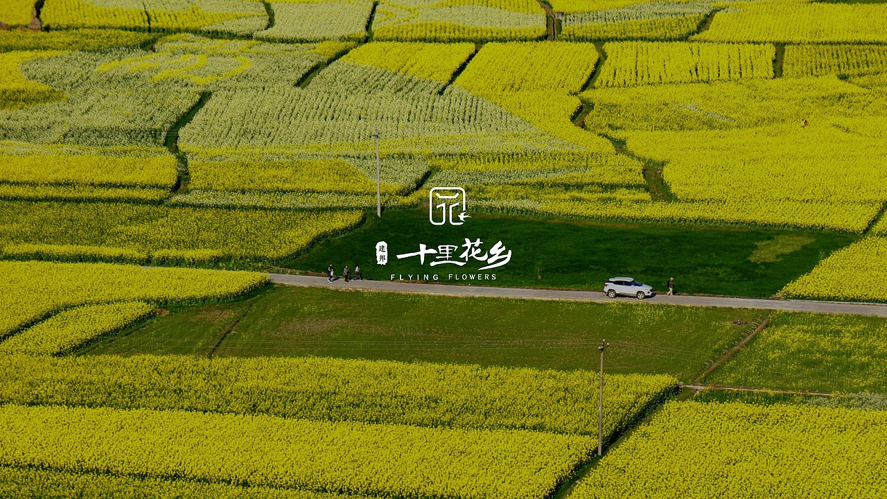 地产设计十里花乡项目视觉