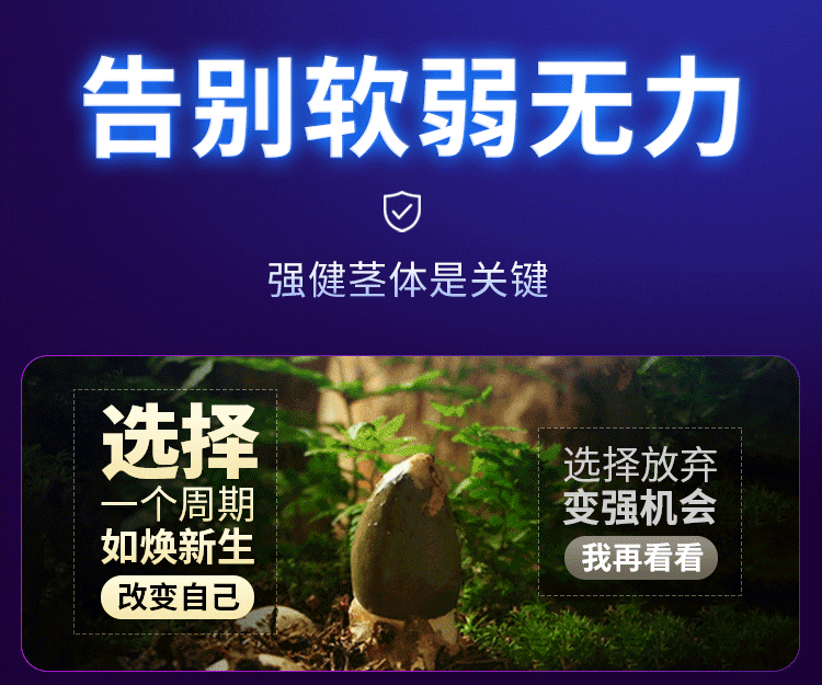 AAV 锻炼器（图ZMzM4NzcxNjE2） - 电商 - 站酷设计师天气微凉M原创素材 - 站酷ZCOOL