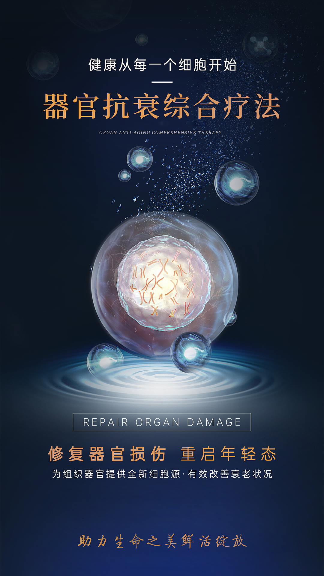 医疗行业项目宣传单张