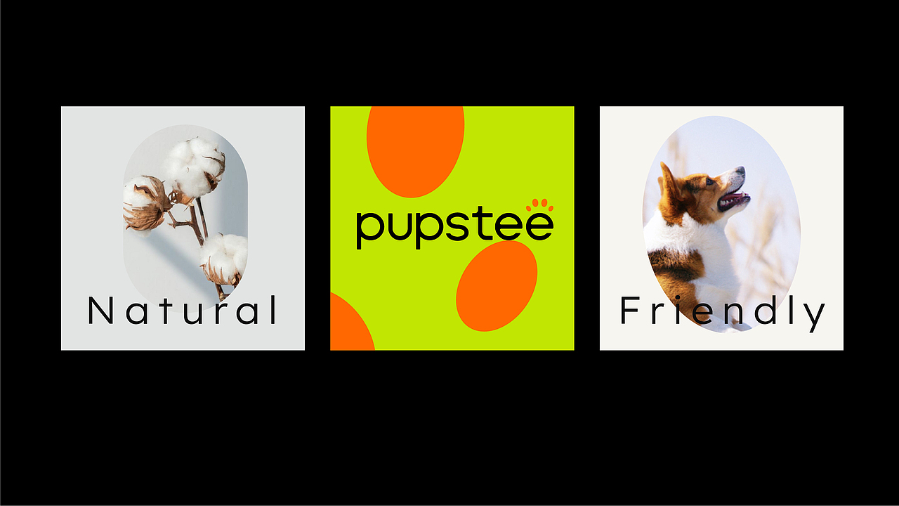 pupstee品牌提案