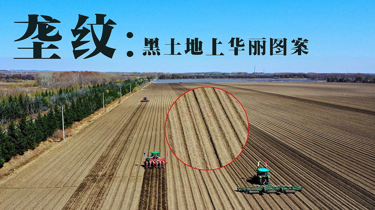 兵团光瓶酒包装设计（白酒包装）（图ZMzU5NDgyNDY0） - 包装 - 站酷设计师布凡包装设计原创素材 - 站酷ZCOOL