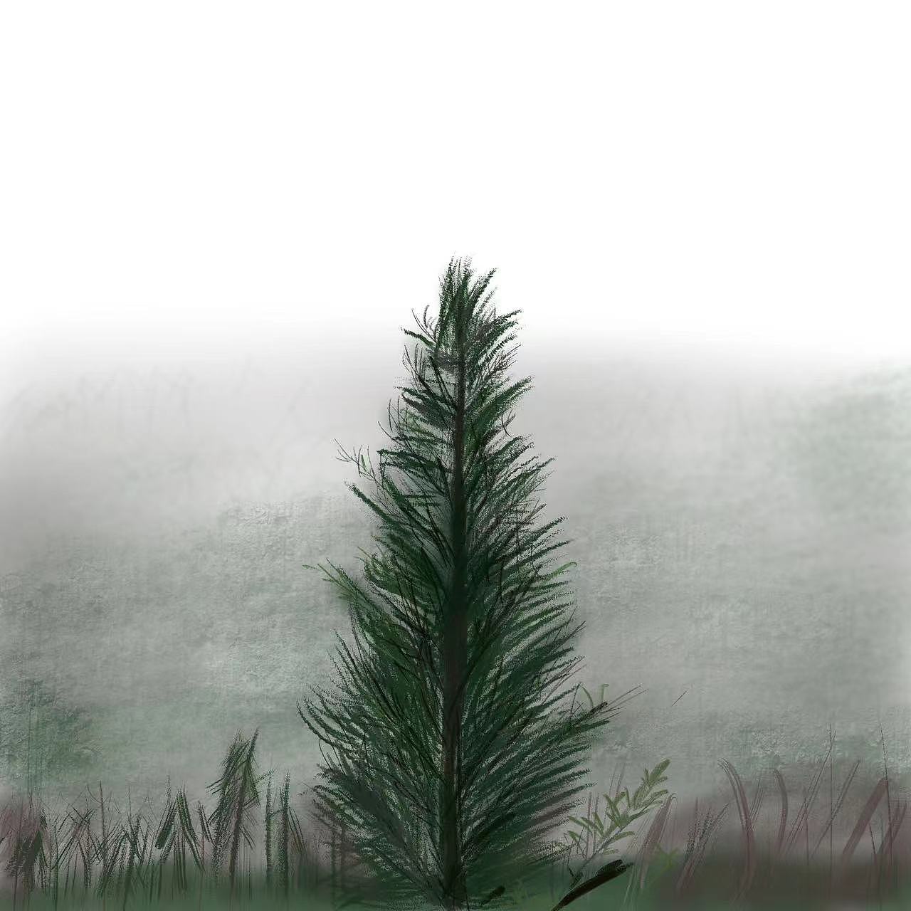 自然质感插画D4