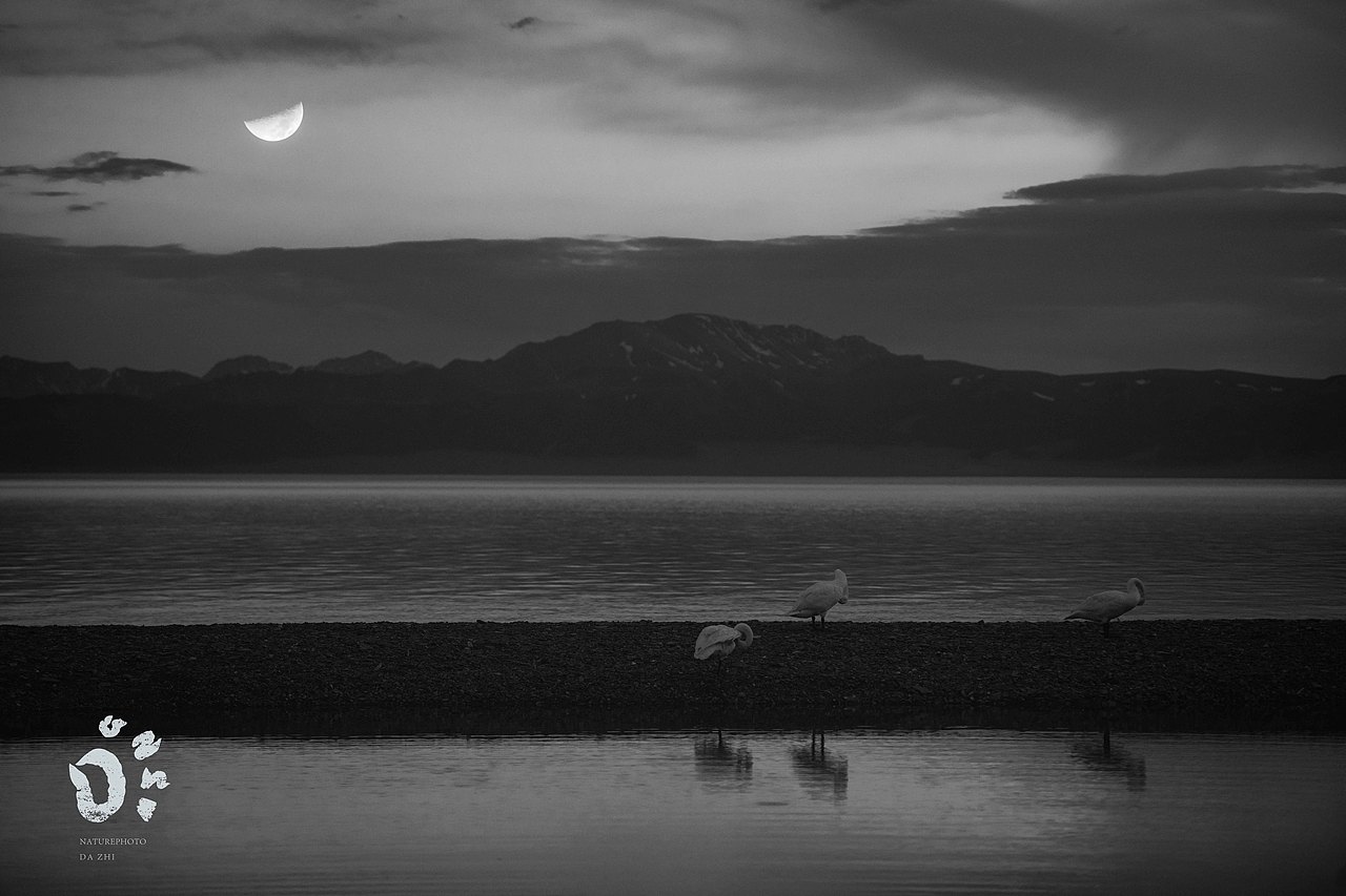 路遇风景（图ZMzUwMjI5MjQ0） - 风光摄影 - 站酷设计师naturephoto原创素材 - 站酷ZCOOL