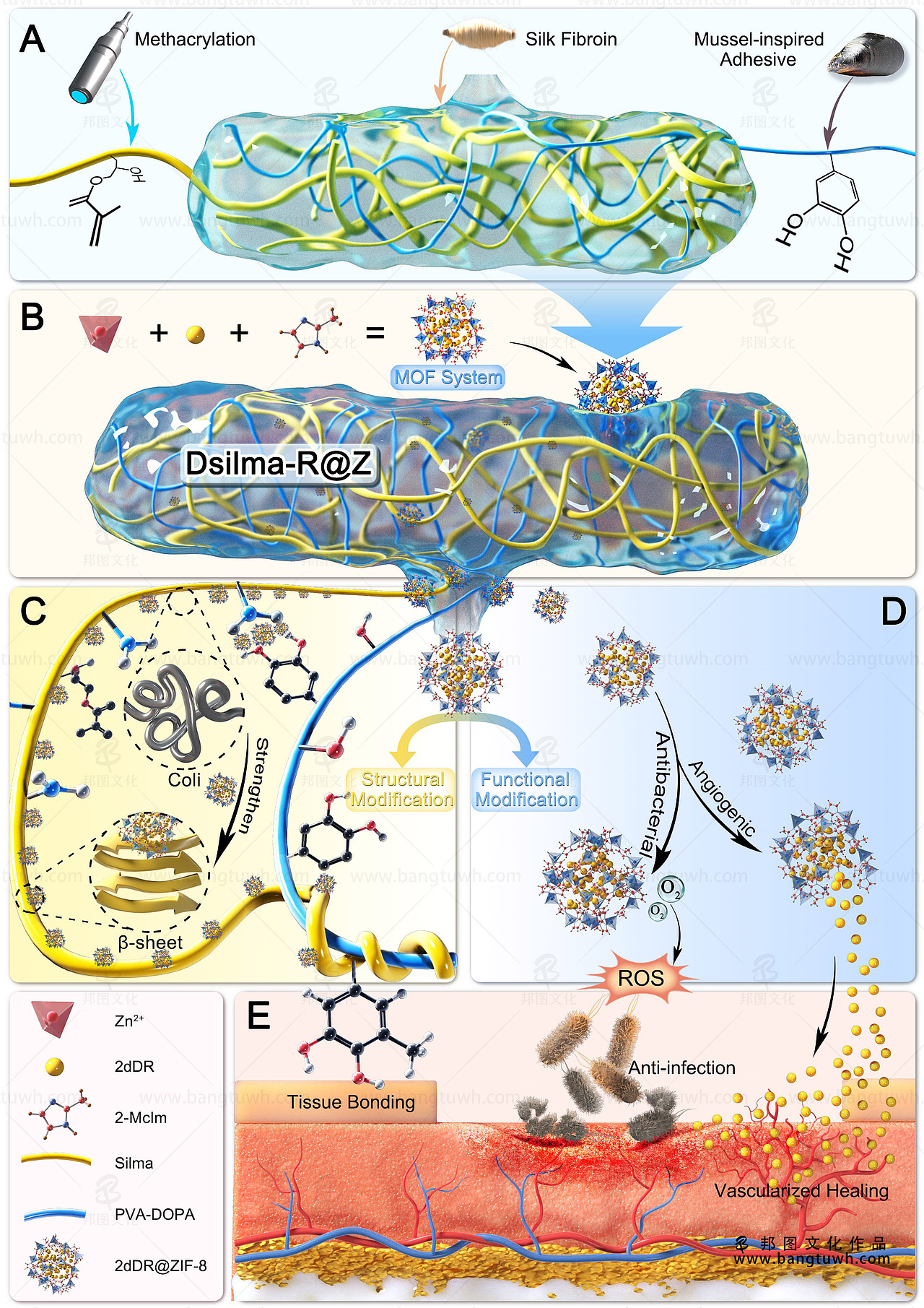 SCI论文配图设计 学术杂志封面