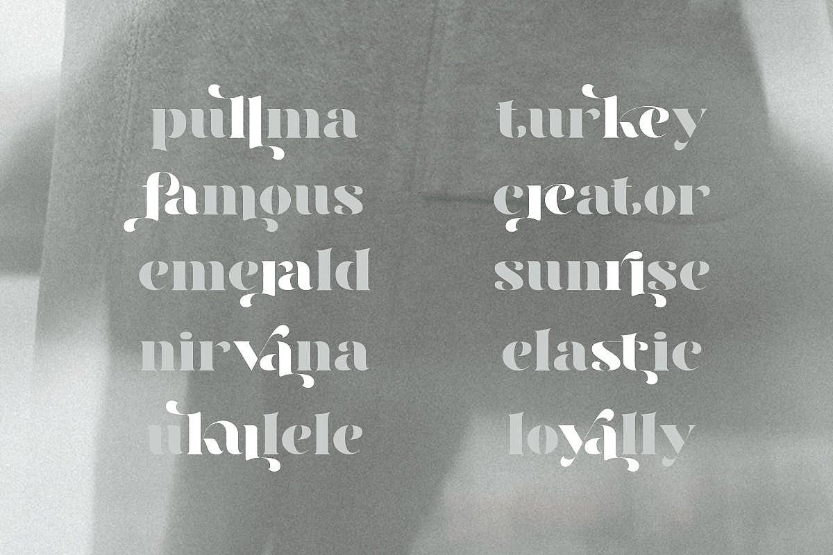 高级优雅时尚现代极简主义经典品牌标识标题英文字体