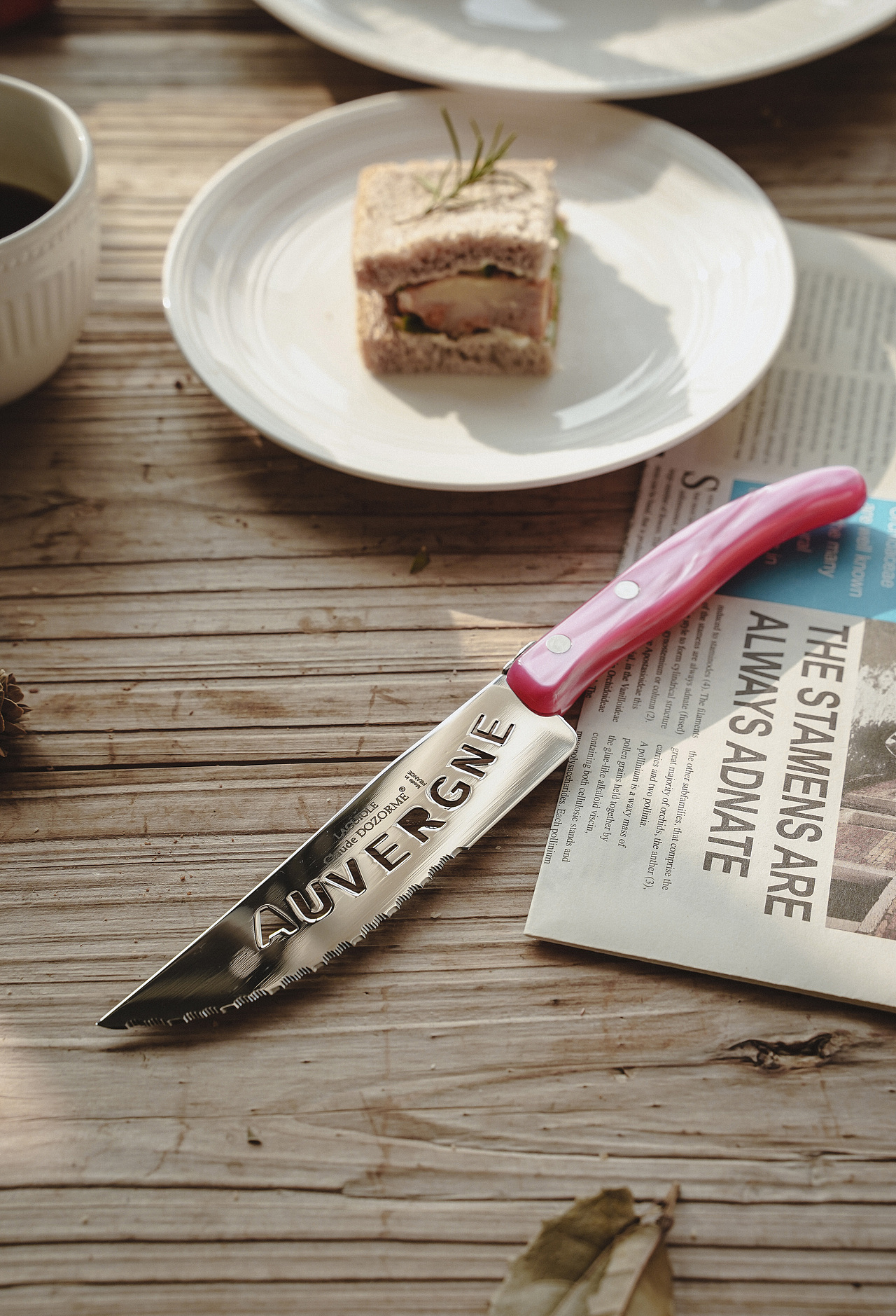 法国狼头熟食刀面包刀（图ZMzU3NjYwMDU2） - 产品摄影 - 站酷设计师晚汐Tide原创素材 - 站酷ZCOOL