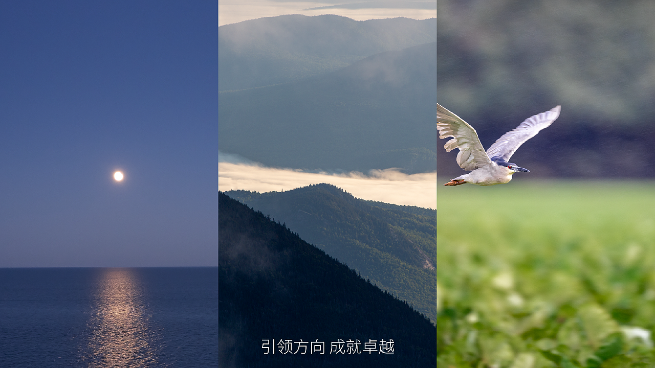 远识咨询 | 品牌全案设计（图ZMzY5MTE4MzIw） - 品牌 - 站酷设计师芒格创意原创素材 - 站酷ZCOOL