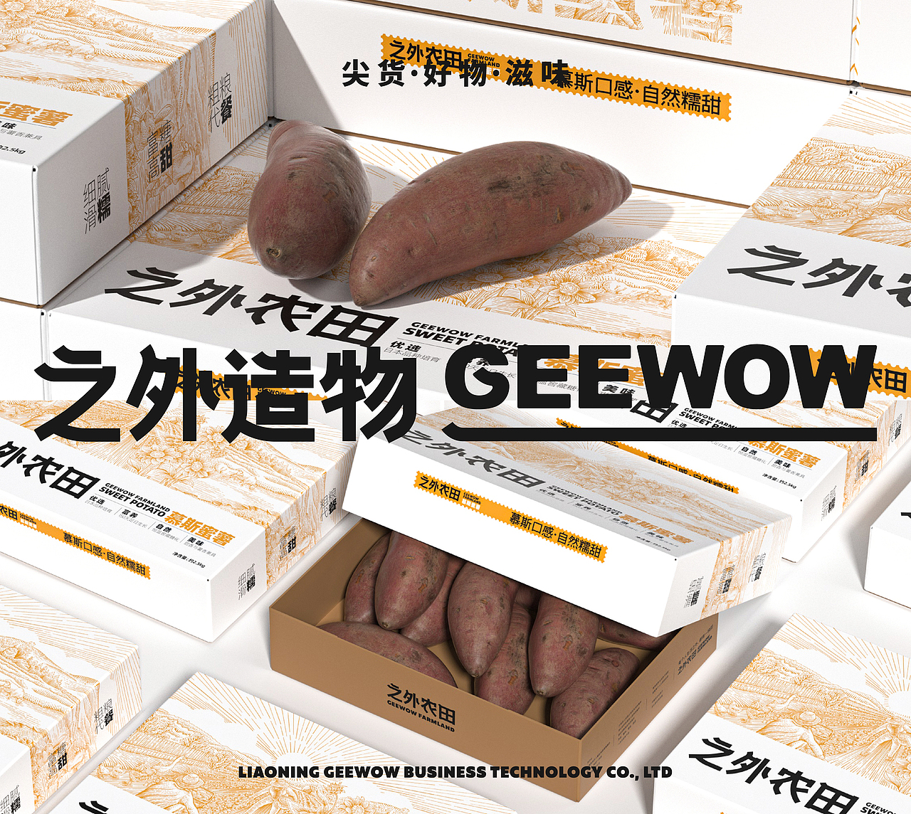 【之外造物】电商品牌&包装创意呈现(图ZMzI2NTE1MjY0) - 包装 - 站酷设计师刘线DotDotDesign原创素材 - 站酷ZCOOL
