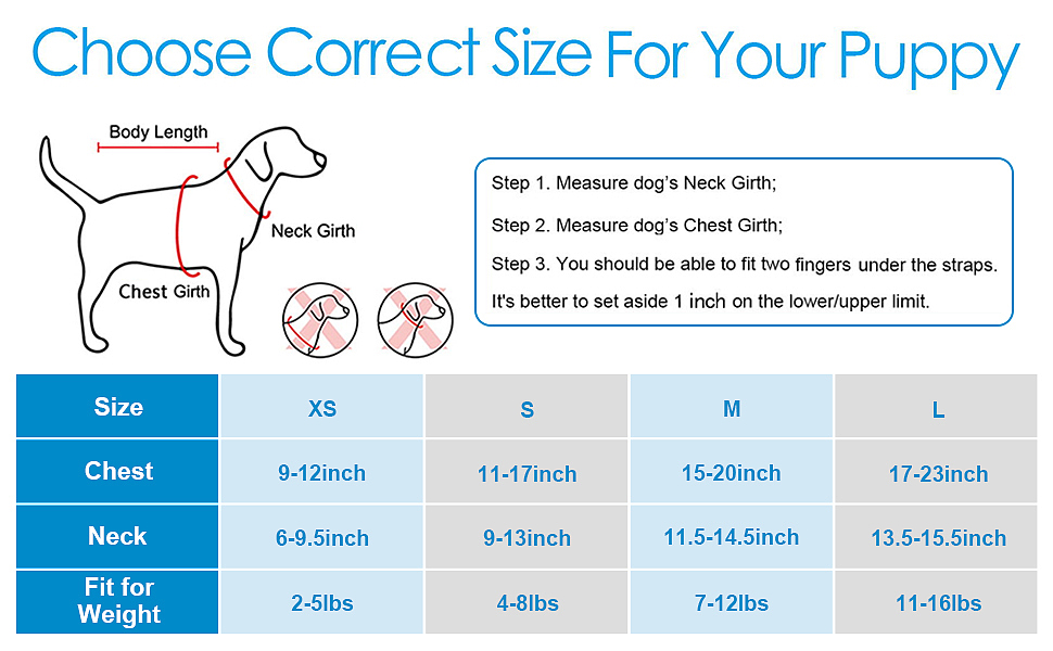宠物牵引绳小背心系列01-蓝格子|亚马逊产品套图设计