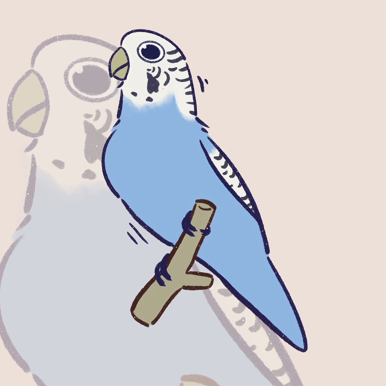 虎皮鸚鵡（圖ZMzYzMDAzNTky） - 創(chuàng)作習(xí)作 - 站酷設(shè)計師生金ni原創(chuàng)素材 - 站酷ZCOOL