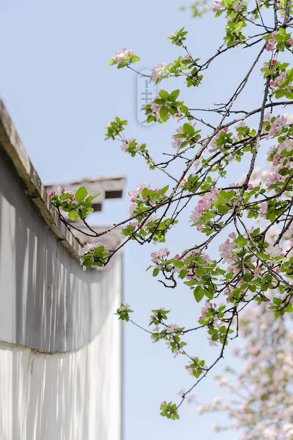 莫愁粉黛临窗懒