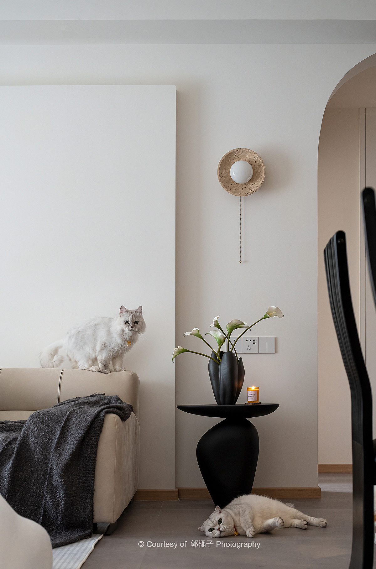 永泰.麓府--一个野生宠物博主的家