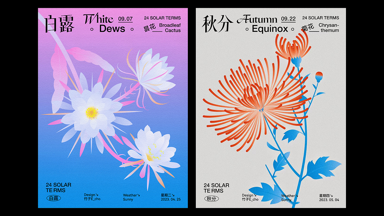 二十四节气花卉