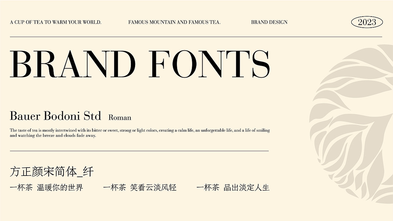 TECOFE | Brand Design