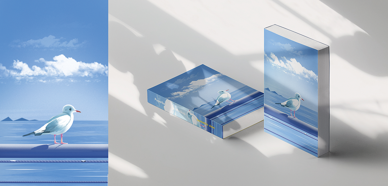 书籍封面插画练习