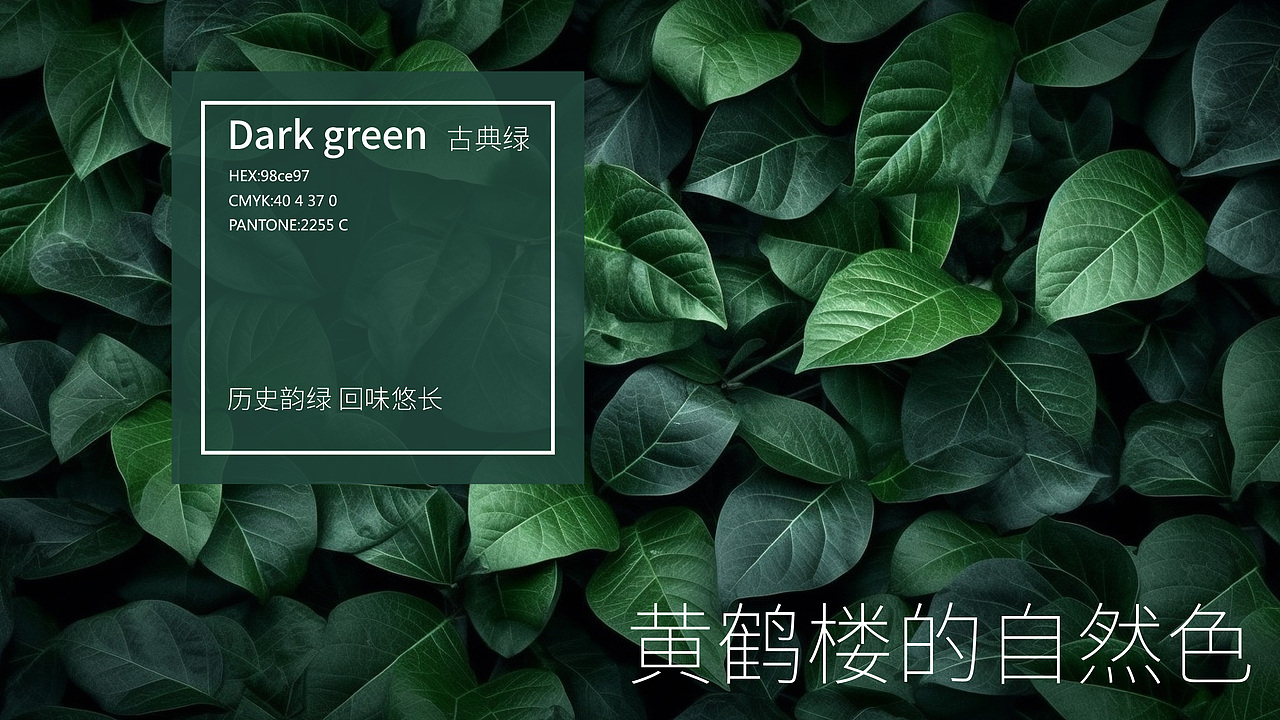 【字绘X黄鹤楼】云游仙踪 古今揽胜