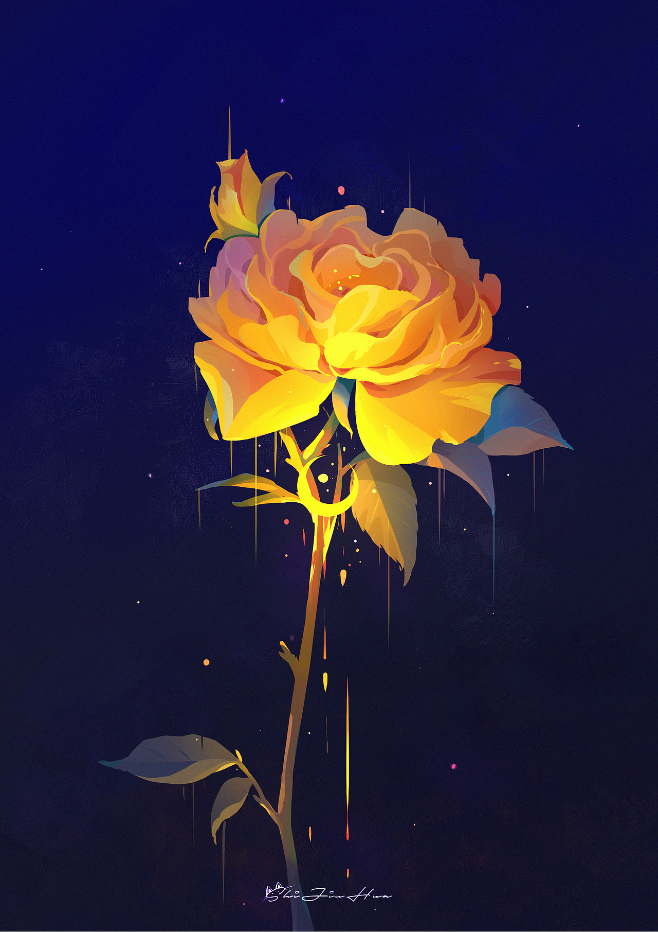 2023年度插画作品总结