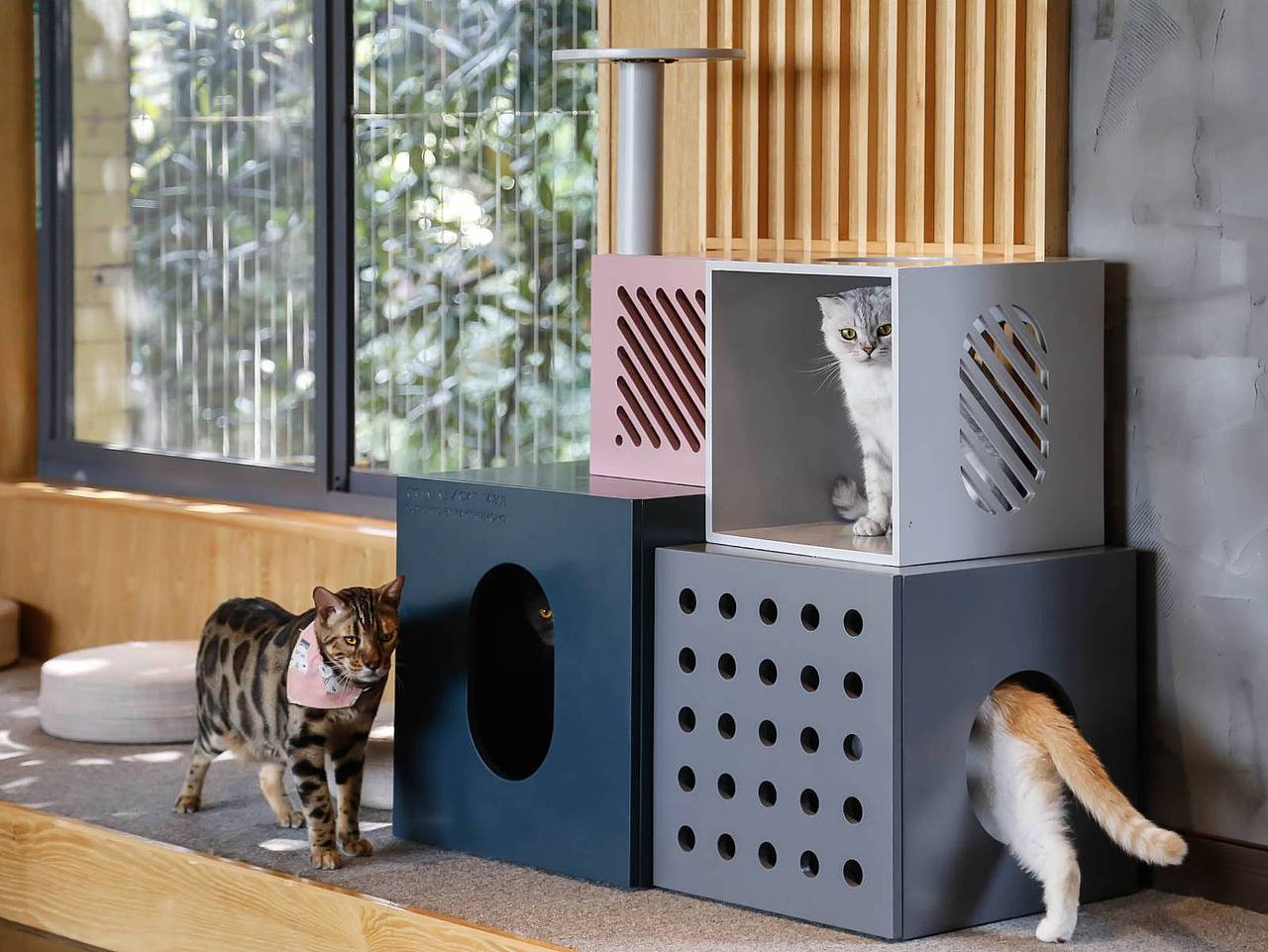 咪有多功能组合猫柜